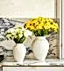 Sunkissed Freesia & Baby Powder Freesia in Mayfair Blanc Vase