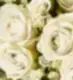 The Rose Super Bouquet - Ivory
