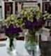 Royal Purple Lisianthus