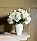 Cotton Cloud Ivory - Classic in a Small Mayfair Blanc Vase