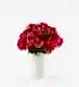 Framboise Pink - Classic in a Small Mayfair Blanc Vase