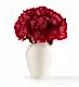 Framboise Pink - Extraordinary in a Large Mayfair Blanc Vase