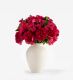 Framboise Pink - Large in a Medium Mayfair Blanc Vase