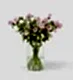 20 stems of Pink Cheeks Campanula in our Medium Apothecary Vase