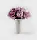 10 Stems of Primrose Peony in a 12cm Glazed White Fluted Vase