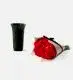 25 Stems of Red Velvet Italian Ranunculus in a 12cm Glazed Emerald Fluted Vase