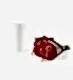 25 Stems of Red Velvet Italian Ranunculus in a 12cm Glazed White Fluted Vase