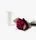 20 Stems of Rose a la Mode Rose and Glazed White Fluted Vase