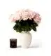 20 Stems of Pink Sweet Avalanche Roses