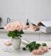 Roses and Vase Set