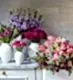 The Signature Subscription - Spring Edit