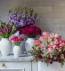 The Signature Subscription - Spring Edit