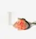 20 Stems of Tequila Sunrise Rose and Glazed White Fluted Vase