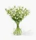 20 stems of White Cloche Campanula in our Medium Apothecary Vase