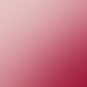 Antique Pink Carnation 