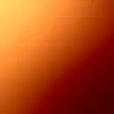 Burnt Amber Calla Lily
