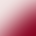 Candy Cane Carnation 