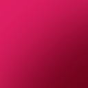 Fiery Pink Carnation 