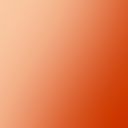 Tangerine Amaryllis 