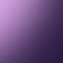 Indigo Anemone 