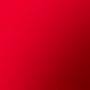 Lipstick Red Anemone 
