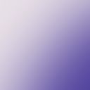 Violet Dusk Anemone 