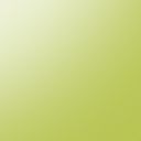 Green Goddess Arum Lily 