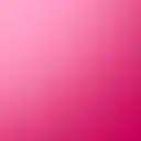 Pink Folly Bouvardia