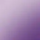 Mauve Freesia 