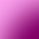 Magenta Phalaenopsis Cut Orchid