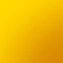 Yellow Penny Lane Rose 