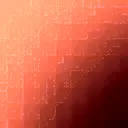 Cherry Red Spray Rose 