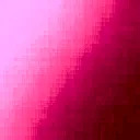 Pink Punch Spray Rose 