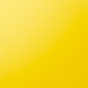 Canary Dutch Tulip 