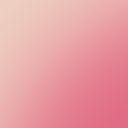 Petal Pink Parrot Tulip 