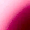 Siren Pink Double Tulip 