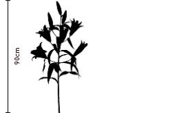 First Blush Long-Stem Deluxe Lily Gift | FLOWERBX