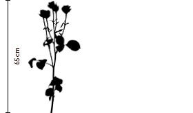 Alabaster Spray Rose | FLOWERBX
