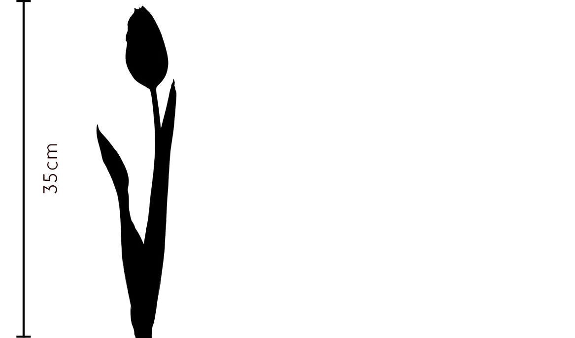 Apricot Parrot Tulip Gift | FLOWERBX