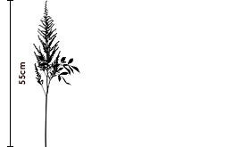 Autumn Feather Astilbe | FLOWERBX