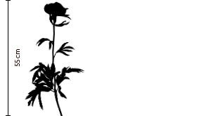Peony_Sil
