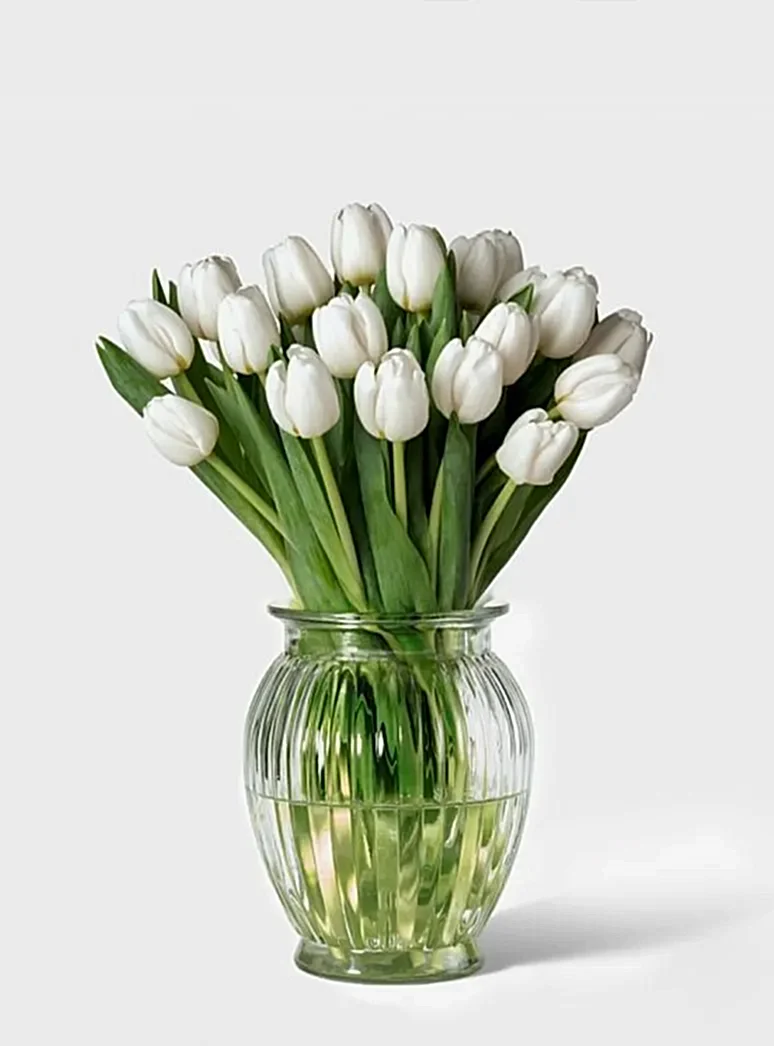 white dutch tulip stems in a vase