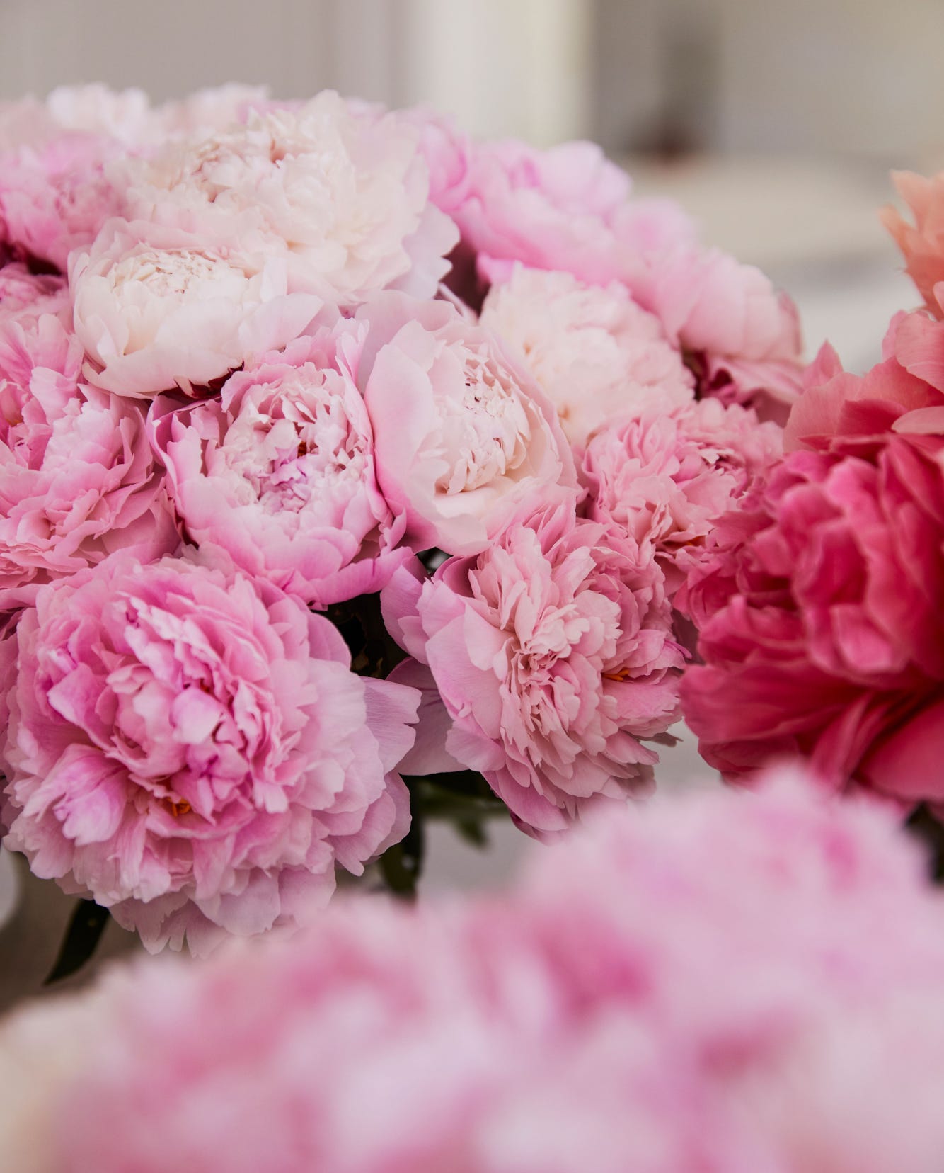 Luxury Peony Bouquet - FLOWERBX