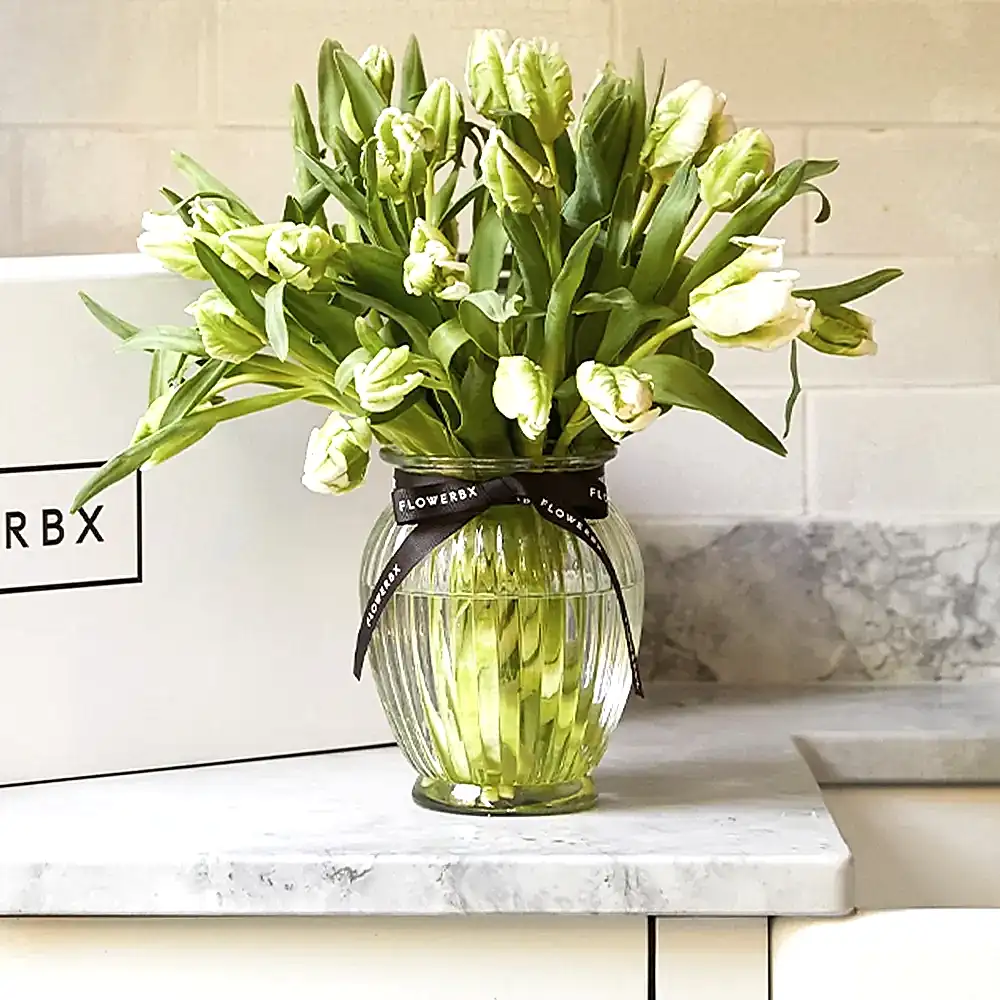 Parrot tulips 3