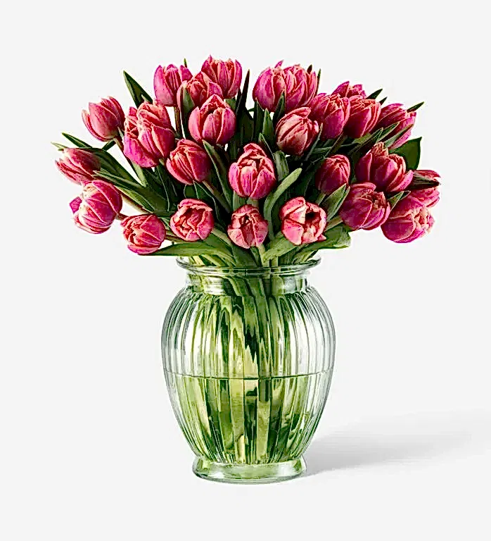 Pink Tulips
