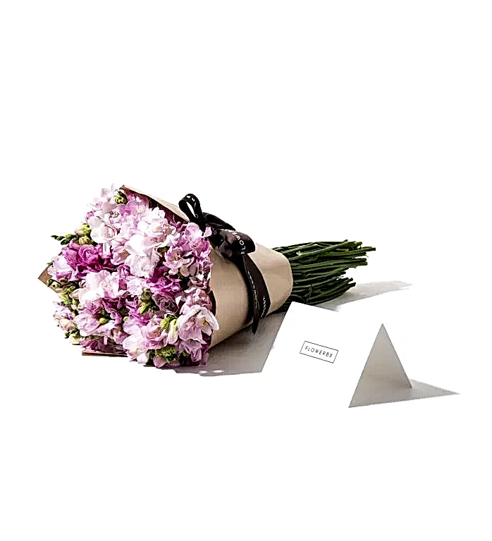 Pink Freesias