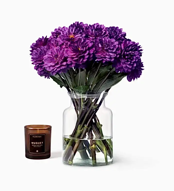 Purple Dahlias