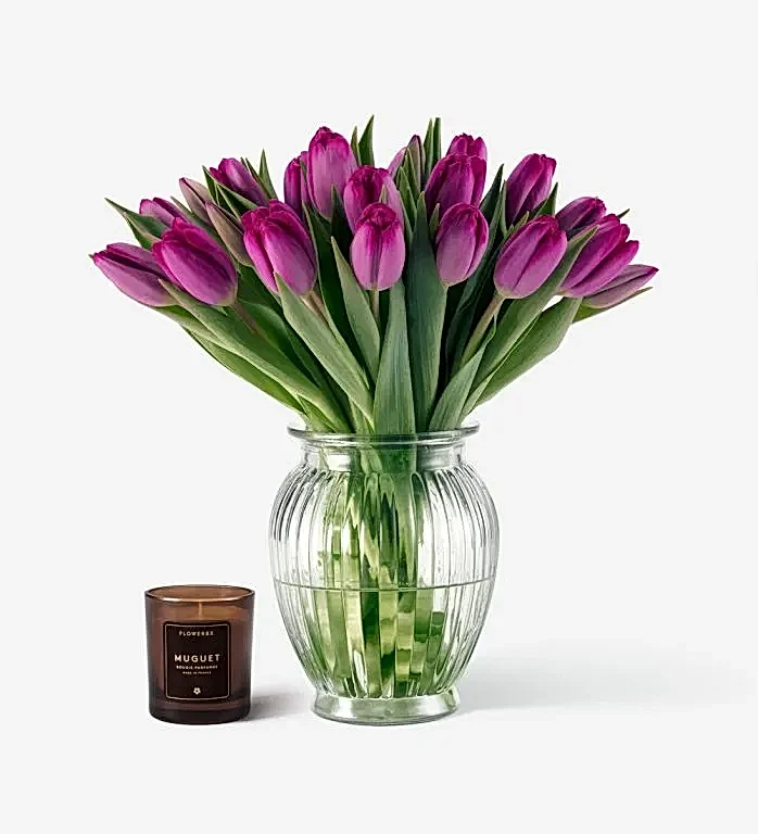 Purple Tulips