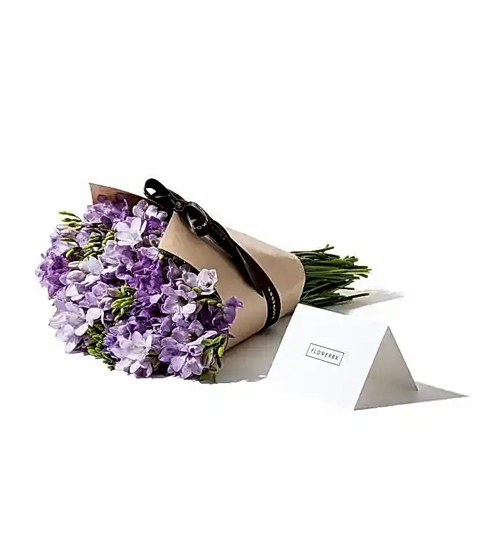 Purple Freesias