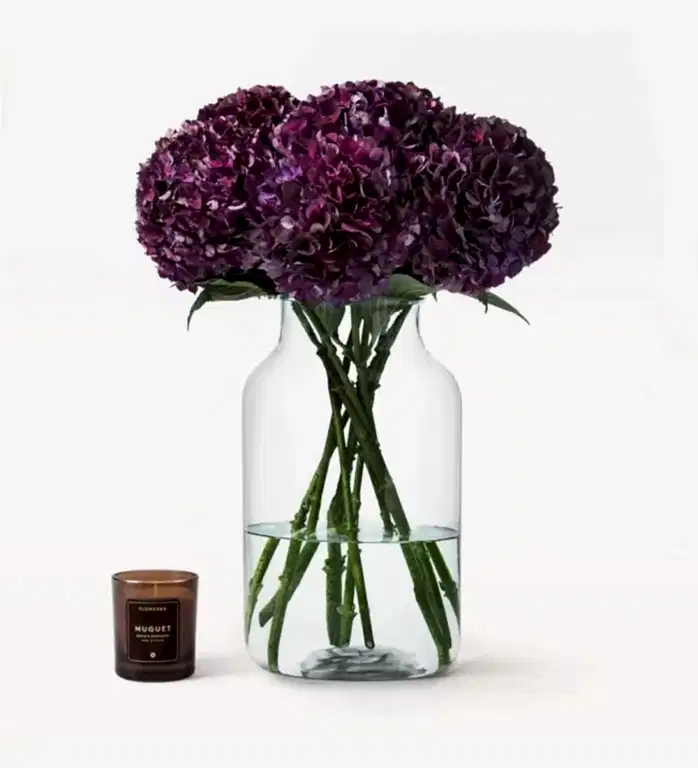 Purple Hydrangeas